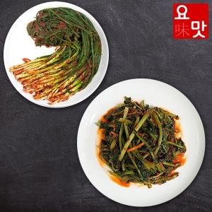 푸드앰프 요맛김치 감칠맛이 풍부한 전라도 열무김치 3kg + 파김치 2kg