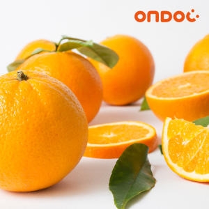 온도씨  미국산 네이블 오렌지 200g내외