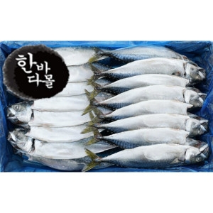 한바다몰  간고등어 16손 32마리
