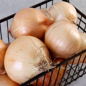 유명산지 무안 햇 양파 3kg 소