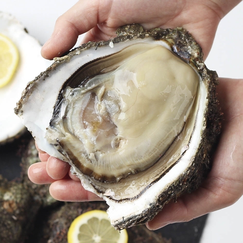 숨비해물  거제도 해녀 자연산 바위굴 반각굴 하프셀 손질전1kg