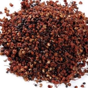 그린내추럴 충북 괴산 천초 산초.제피나무열매