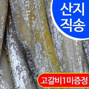 임피수산  반건조 풀치 50~55cm