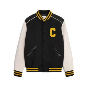 셀린느 클래식 테디 봄버 자켓 2V56D896C 39NJ