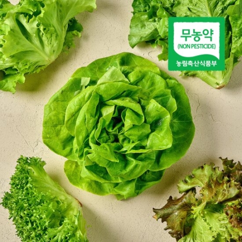 팜스프링  유러피안 쌈채소 1kg