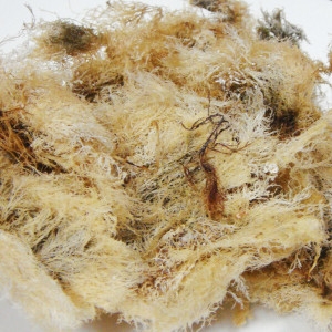 쪽빛누리  한천원료 묵 우무 식이섬유소 풍부한 우뭇가사리 500g 100% 국내산