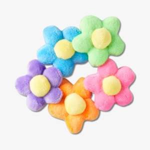 크록스 플라워 5개 세트_10011431-ZZ