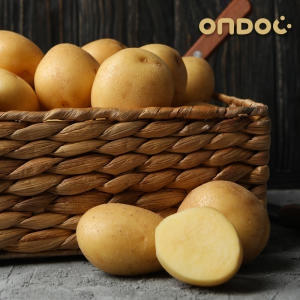 온도씨  강원도 포슬한 두백 햇 감자 중 5kg