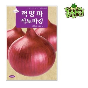 적토마양파 적토마양파씨앗 양파씨앗 양파씨 적양파