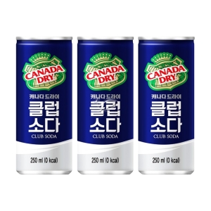 코카콜라음료 캐나다 드라이 클럽소다 250ml