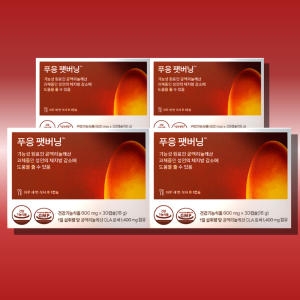 닥터블릿 푸응 팻버닝 600mg 30캡슐