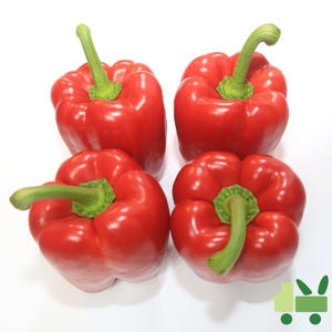 사라상회 비품 빨강 파프리카 10kg