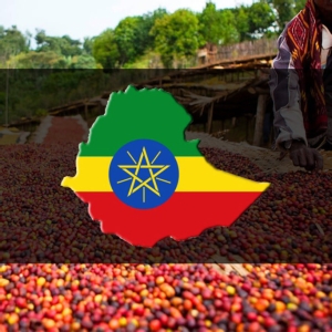 싸다구커피  에티오피아 예가체프 G2 풀워시드 1kg