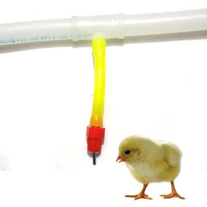 아이앤유  급수 닙플