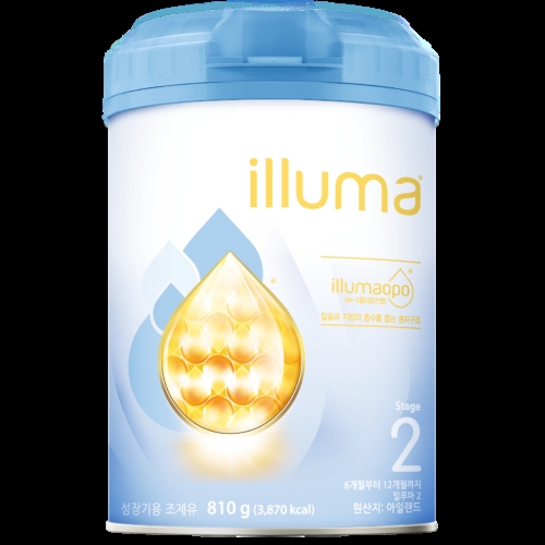 와이어스 일루마 2단계 810g