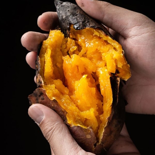 대한민국농수산  비세척 해남 꿀 고구마-비세척 꿀고구마 한입 5kg