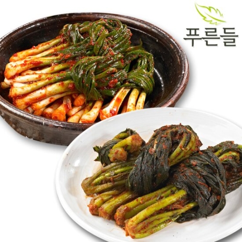 푸른들  전라남도 함평김치 / 파김치 2kg + 여수갓김치 2kg