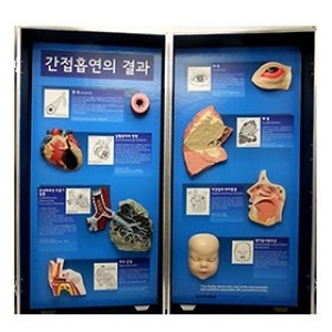 금연/간접흡연의 결과/JS-33270/보건교육