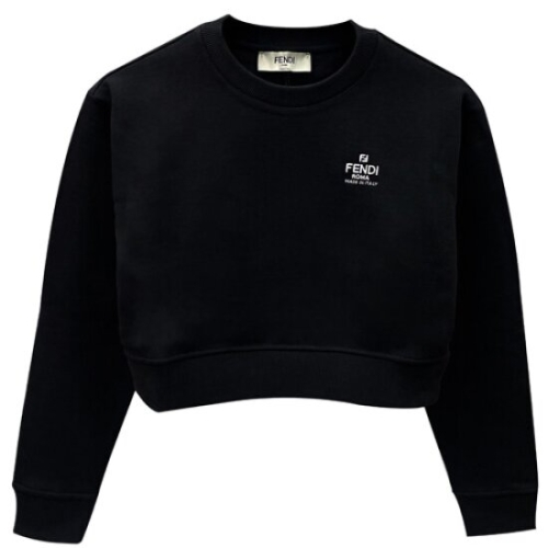 펜디 FS9648 AOE3 F0GME 로고자수 페브릭