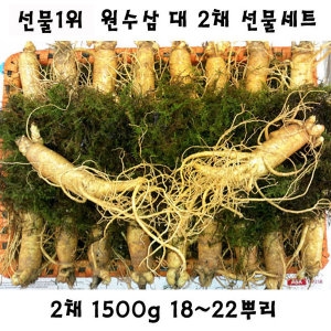 금산수삼시장  인삼선물세트 원수삼대 2채 선물세트