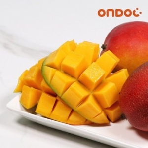 온도씨  프리미엄 애플망고 3-6과 2kg내외