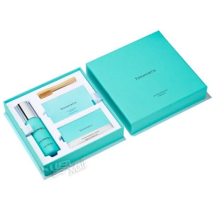 티파니앤코  실버 케어 키트 74046002 TIFFANY SILVER JEWELRY CARE KIT