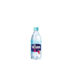  웅진식품 더 빅토리아 자두 500ml [40개]