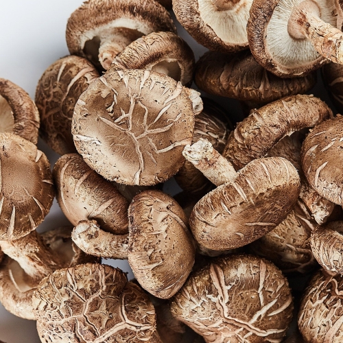 감동  국내산 생표고버섯 못난이 1kg