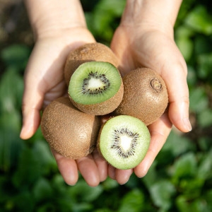 달구벌농산  국내산 키위 소과 25과 내외 2kg