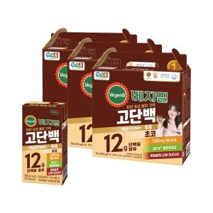 베지밀 고단백 초코두유 190ml