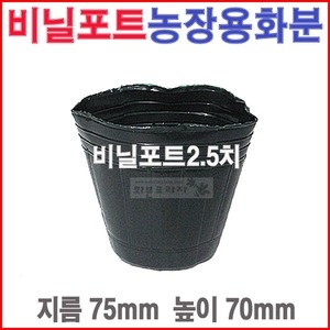 도매전문화분프라자 비닐포트2.5치 10개 칼라/육묘농장/블루베리/모종화분