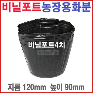 도매전문화분프라자 비닐포트4치 10개 /칼라/육묘농장/블루베리/모종화분