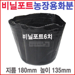 도매전문화분프라자 비닐포트6치 5개 /칼라/육묘/농장/블루베리/모종화분