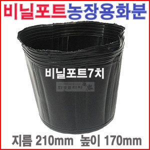 비닐포트7치 5개 /칼라/육묘농장/블루베리/모종화분