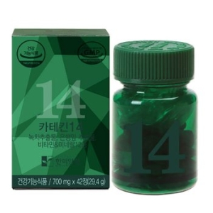 한미양행 카테킨 14 42정