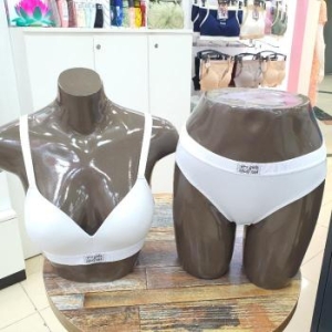 YES DP01 /노와이어/모아주는브라/연그레이 YSWBA241/241 S15833710