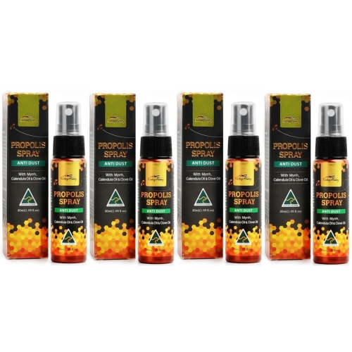 굿데이허니 안티 더스트 프로폴리스 스프레이 30ml