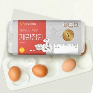 제주웰빙영농조합  애월아빠들 무항생제 난각번호 1번 제주 자연방사 유정란 계란장인 10구