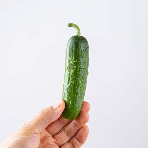 사과랑 자연맛남 맛있는 미니오이 4kg