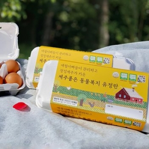 제주웰빙영농조합  애월아빠들 난각번호 2번 무항생제 제주품은 동물복지 유정란 10구