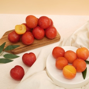 착한식탁 새콤달콤 자두 랜덤과 5kg