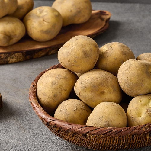 보성  하우스 햇감자 5kg 중 휴게소통구이용 외