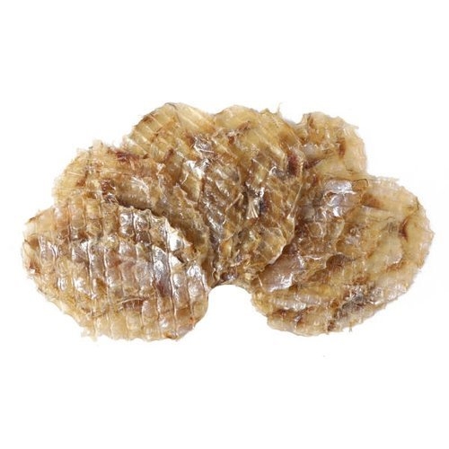 너트리  조미 쥐치포 쥐포 3L사이즈 특대 1kg