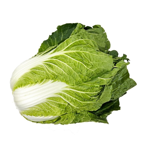 신선당  국내산 특품김장생배추 포기배추 두쪽통배추 2kg