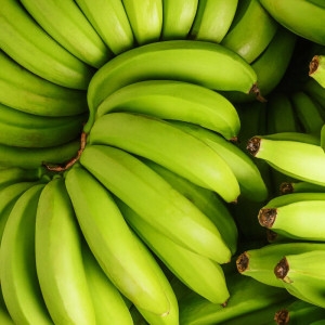 거북농산  청바나나 그린바나나 13kg 베트남or필리핀