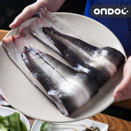 온도씨  고창 풍천 민물장어 2마리 1kg