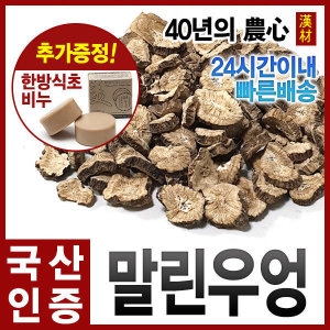 자애인 국산 말린 우엉 500g