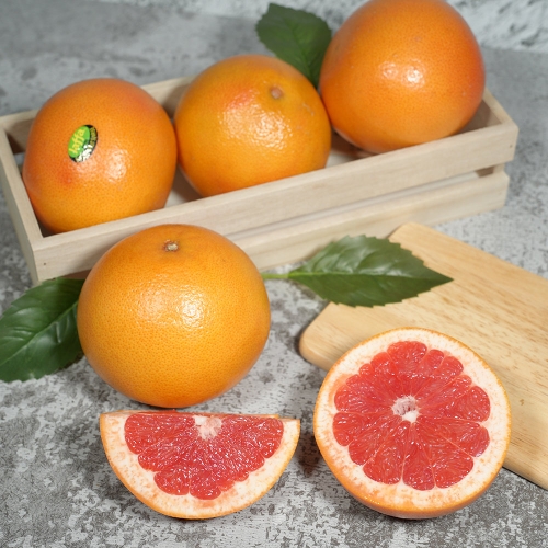 썬리지  남아공/이스라엘 자몽 대과 2kg 개당 330g 내외