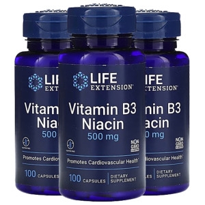 라이프익스텐션 비타민B3 니아신 500mg 100캡슐