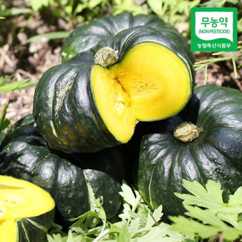 친환경팔도 함평 정대성님의 무농약 햇 미니단호박 밤호박 1kg